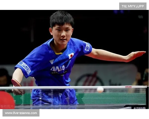 WTT香港总决赛门票分阶段开售，最高票价2080元创新纪录